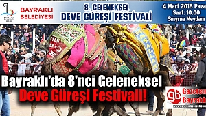 Bayraklı'da 8'nci Geleneksel Deve Güreşi Festivali