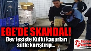 Dev süt ürünleri tesisinde küflü kaşar skandalı