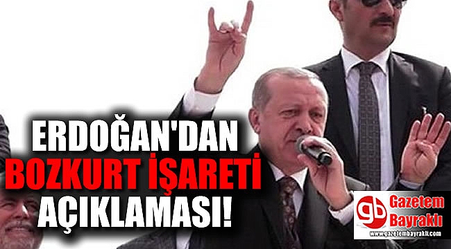 Erdoğan'dan bozkurt işareti açıklaması : İrademizin dışında oldu ama güzel de oldu