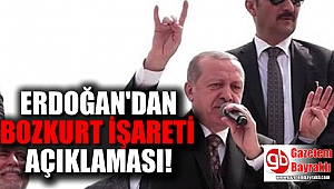 Erdoğan'dan bozkurt işareti açıklaması : İrademizin dışında oldu ama güzel de oldu