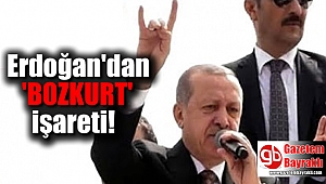 Erdoğan'dan 'bozkurt' işareti