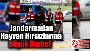 Hayvan hırsızlarına jandarmadan büyük darbe
