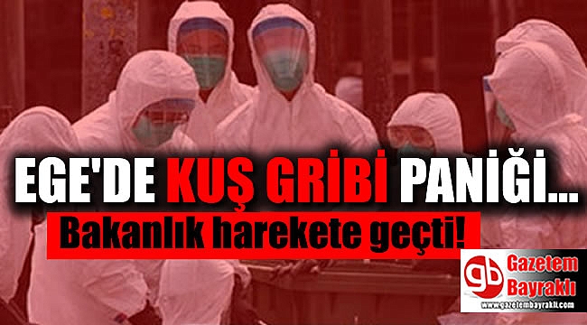 Ege'de kuş gribi paniği Bakanlık harekete geçti
