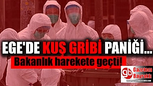 Ege'de kuş gribi paniği Bakanlık harekete geçti