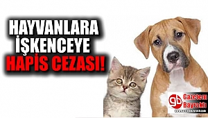 Hayvanlara eziyete hapis cezası geliyor