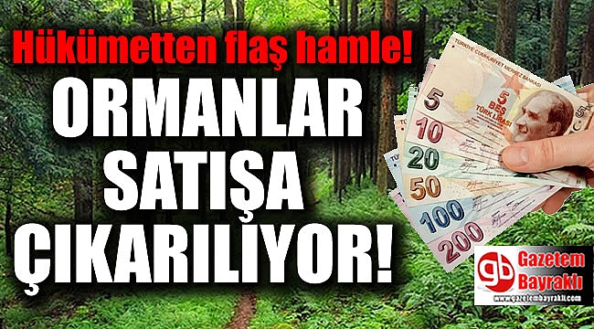 Mecliste kabul edildi : Ormanlar 5 yıllığına satışa çıkarılacak