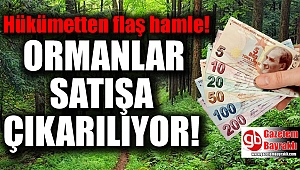 Mecliste kabul edildi : Ormanlar 5 yıllığına satışa çıkarılacak