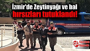 Zeytinyağı ve bal hırsızları tutuklandı