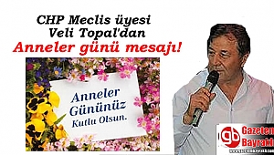 CHP Meclis üyesi Veli Topal'dan Anneler günü mesajı