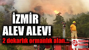 İzmir'de 2 dekarlık ormanlık alan yandı