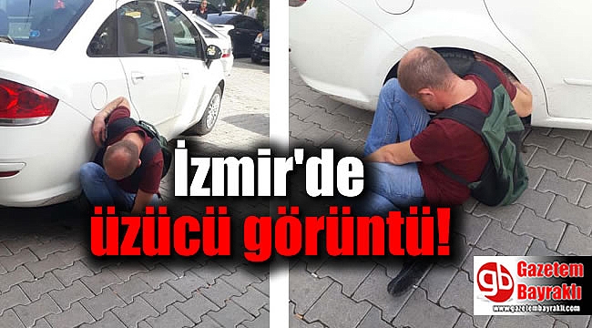İzmir'de üzücü görüntü