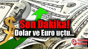 Son Dakika: Dolar ve Euro Rekor Üstüne Rekor kırdı