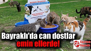 Bayraklı'da can dostlar emin ellerde