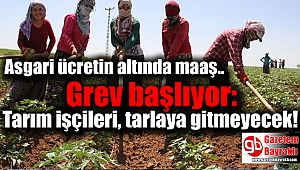Grev başlıyor: Tarım işçileri, tarlaya gitmeyecek