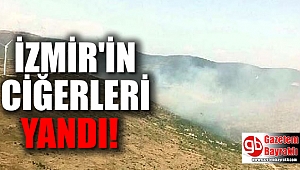 İzmir Çeşme otobanında yangın alarmı