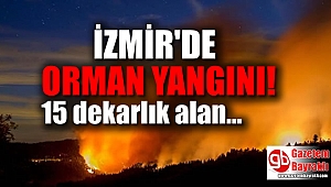 İzmir'de orman yangını