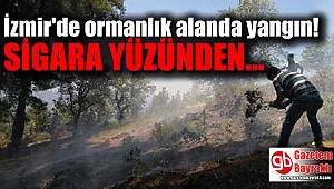 İzmir'de ormanlık alanda yangın