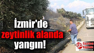 İzmir'de zeytinlik alanda yangın