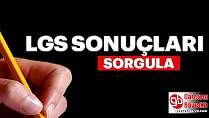 LGS sınav sonucu sorgulama ekranı