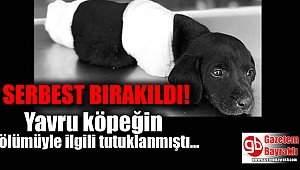 Sakarya'daki yavru köpeği öldürdüğü iddia edilen operatör serbest bırakıldı