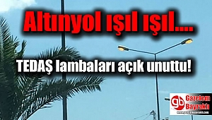 TEDAŞ lambaları açık unuttu