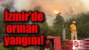 İzmir'de yine orman yangını