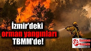 İzmir'deki orman yangınları araştırılsın önergesi