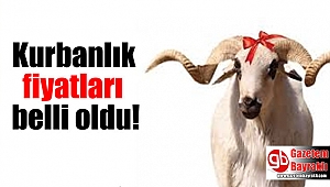Kurbanlık fiyatları belli oldu
