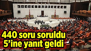 440 soru soruldu 5'ine yanıt geldi
