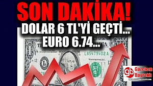 Dolar 6 lirayı aştı