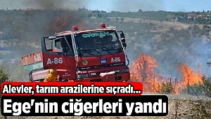 Ege'nin ciğerleri yandı