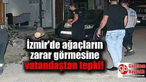 İzmir'de ağaçların zarar görmesine vatandaştan tepki
