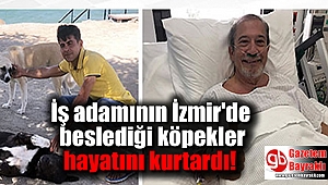 İzmir'de beslediği köpekler boğulan adamın hayatını kurtardı