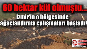 İzmir'in o bölgesinde 60 hektar alanı ağaçlandırma çalışmaları başladı