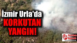 Urla'da korkutan yangın
