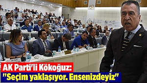 AK Parti'li Kökoğuz:
