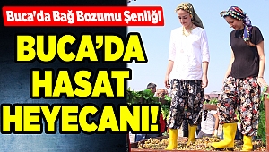 Buca'da Bağ Bozumu Şenliği