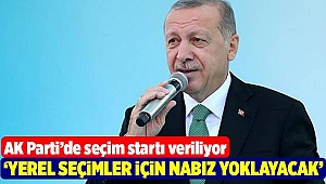 'Erdoğan yerel seçimler için nabız yoklayacak'