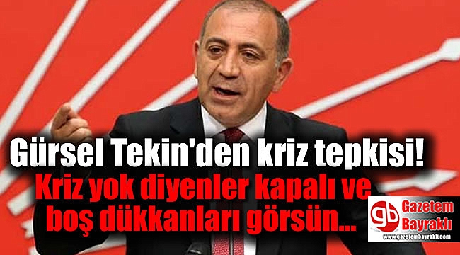 Gürsel Tekin: Kriz yok diyenler kapalı ve boş dükkanları görsün