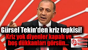 Gürsel Tekin: Kriz yok diyenler kapalı ve boş dükkanları görsün