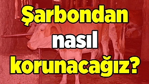 Şarbondan nasıl korunacağız?
