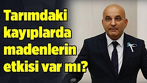 Tarımdaki kayıplarda madenlerin etkisi var mı?