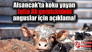 Alsancak'tan koku yayan Julia Ak gemisindeki anguslar için açıklama