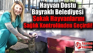 Belediyesi Sokak Hayvanlarını Sağlık Kontrolünden Geçirdi