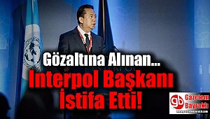 Çin'de Gözaltına Alınan Interpol Başkanı Meng, İstifa Etti