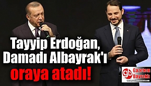 Erdoğan, Albayrak'ı oraya atadı