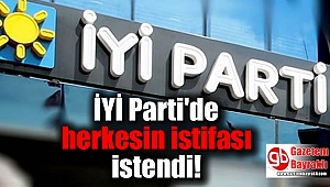 İYİ Parti'de herkesin istifası istendi