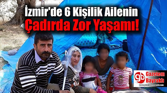 İzmir'de 6 Kişilik Ailenin Çadırda Zor Yaşamı