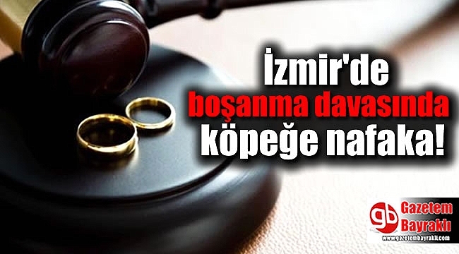 İzmir'de boşanma davasında köpeğe nafaka