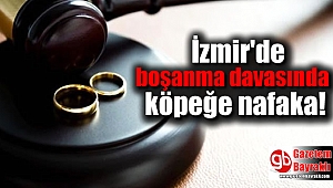 İzmir'de boşanma davasında köpeğe nafaka